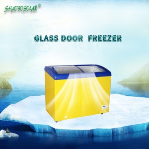 189L 269L big Capacity DC glass door  freezer