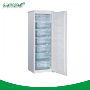 80 L/100 L/200 L Good Quality DC Upright Freezer